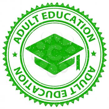 Adult Education Representing Tutoring Studying And Mature