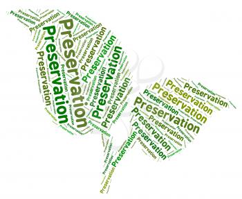 Preservation Word Representing Earth Friendly And Ecological