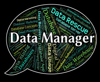 Data Manager Showing Chief Managing And Proprietor
