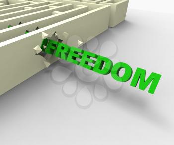 Freedom From Maze Shows Liberated Or Escape