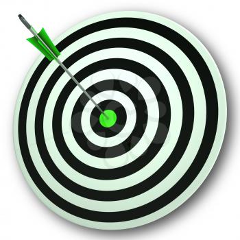 Bulls eye Target Showing Perfect Accuracy And Focus