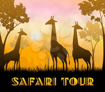 Safari Tour Giraffes Showing Wildlife Reserve 3d Illustration