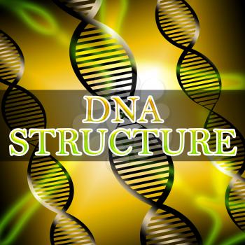 Dna Structure Helix Shows Biotech Structures 3d Illustration