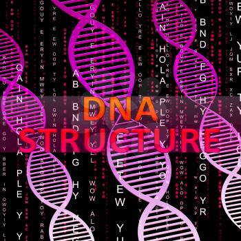 Dna Structure Helix Means Biotech Structures 3d Illustration
