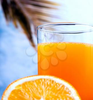 Freshly Squeezed Orange Showing Healthy Eating And Citrus