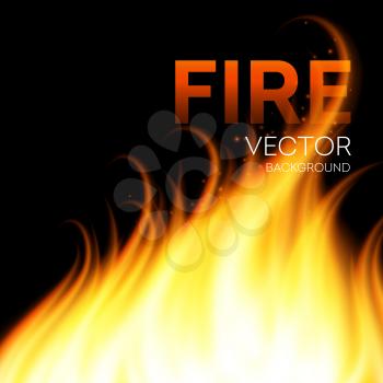 Fire realistic background. Vector illustration EPS 10