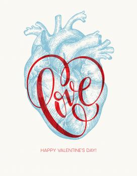 Valentines day card with Human heart and Love lettering. Vector illustration EPS10