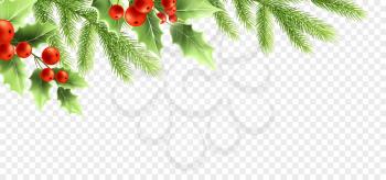 Christmas realistic decorations banner design. Holly tree branches with green leaves and red berries, fir twigs on transparent background. Greeting card, poster design element. Color isolated vector