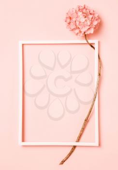 Pink, coral flower on. Place for inscription in frame. Natural minimalistic background