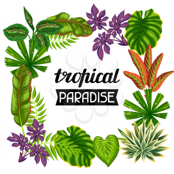 Frame with tropical plants and leaves. Image for advertising booklets, banners, flayers.