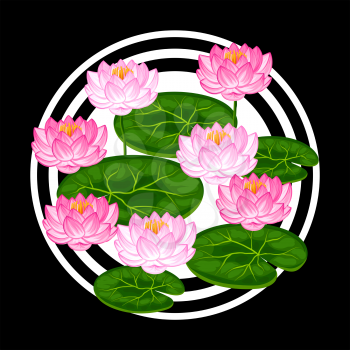 Natural background with lotus flowers and leaves. Image for design on t-shirts, prints, decorations brochures, websites.