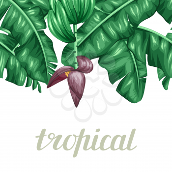 Seamless border with banana leaves. Decorative image of tropical foliage, flowers and fruits. Background made without clipping mask. Easy to use for backdrop, textile, wrapping paper.