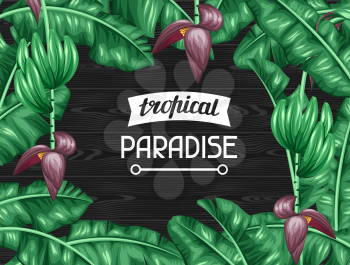 Frame with banana leaves. Decorative image of tropical foliage, flowers and fruits. Design for advertising booklets, banners, flayers, cards.