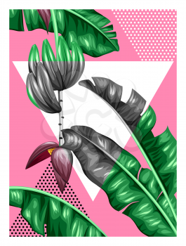 Poster with banana leaves. Decorative image of tropical foliage, flowers and fruits. Design for advertising booklets, banners, flayers, cards.