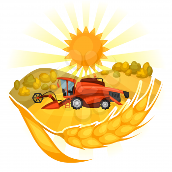 Combine harvester on wheat field. Agricultural illustration farm rural landscape.