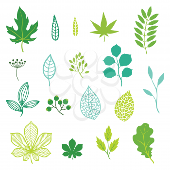 Set of various stylized green leaves and elements.