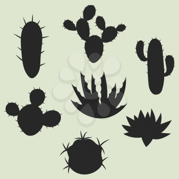 Collection of stylized cactuses and plants. Natural illustration.