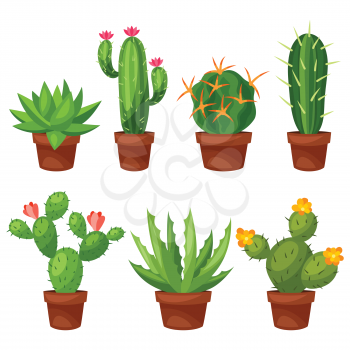 Collection of abstract cactuses in flower pot.