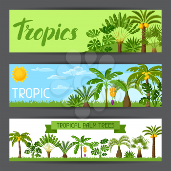 Banners with tropical palm trees. Exotic tropical plants Illustration of jungle nature.