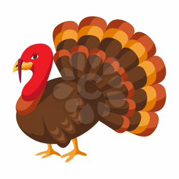Happy Thanksgiving illustration of turkey. Autumn seasonal holiday bird.