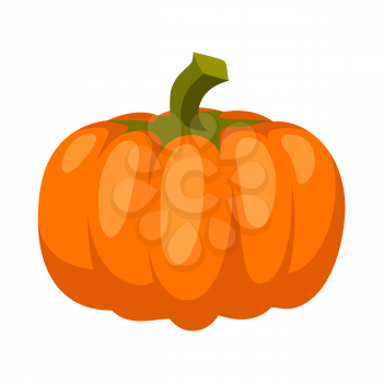 Cartoon illustration of ripe pumpkin. Autumn harvest vegetable.