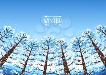 Winter forest background with stylized trees. Seasonal illustration.