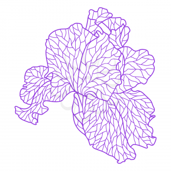 Illustration of violet irise. Beautiful decorative stylized summer flower.