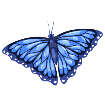 Illustration of blue beautiful butterfly. Stylized decorative insect.