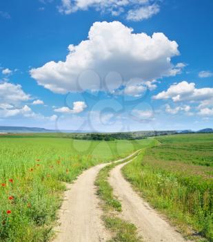 Road lane and deep blue sky. Green meadow and spring flowers. 