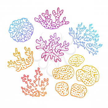 Doodle set of corals. Isolated on white background. Hand drawn vector illustration.