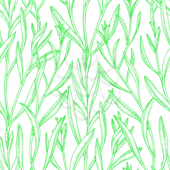 Seamless pattern with tarragon. Summer or spring background. Hand drawn vector illustration.