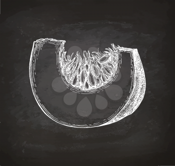 Chalk sketch of pumpkin piece on blackboard background. Hand drawn vector illustration. Retro style.