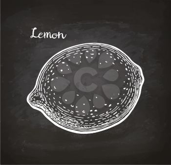 Lemon. Chalk sketch on blackboard. Hand drawn vector illustration. Retro style.