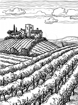 Hand drawn vineyard landscape. Ink sketch. Vintage style vector illustration.