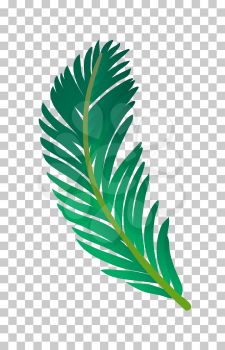 Vector illustration of palm tree leaf. Isolated on white background.