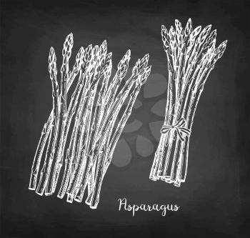 Chalk sketch of asparagus on blackboard background. Hand drawn vector illustration. Retro style. 