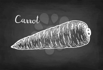 Chalk sketch of carrot on blackboard background. Hand drawn vector illustration. Retro style.