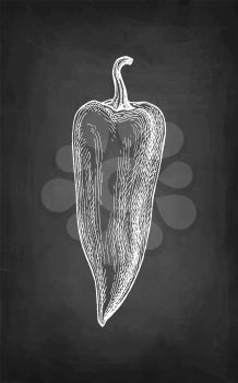 Cubanelle - long bell pepper. Chalk sketch on blackboard background. Hand drawn vector illustration. Retro style.