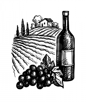 Wine bottles and bunch of grapes. Vineyard landscape. Ink sketch isolated on white background. Hand drawn vector illustration. Retro style.