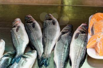Fresh Sea Bass, salmon of Mediterranean cooking  on the shelves, the tables of the fish market