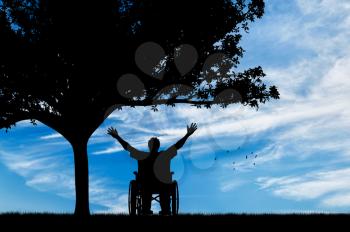 Concept of disability and disease. Silhouette happy invalid under the branches of a tree