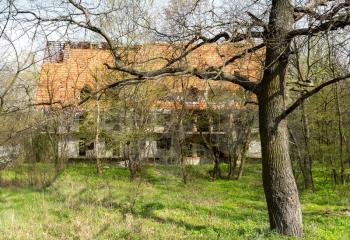 Old abandoned house in the woods overgrown with plants