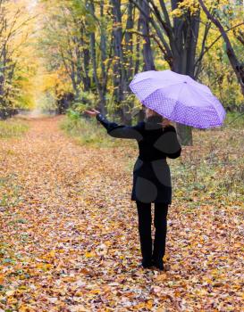 Concept of the fall season. Lonely woman with bright umbrella in autumn forest Rear view