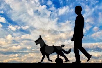 Dog in a wheelchair is walking next to the owner. The concept of helping pets