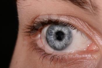 Close Up Of A Man Eyes, macro