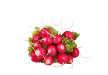 Fresh red radish isolated on white background
