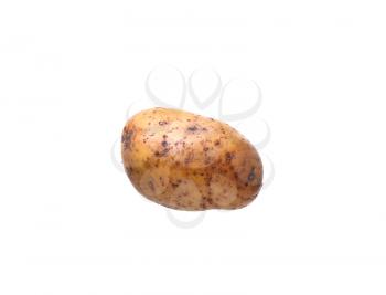 one potatoes isolated on white background