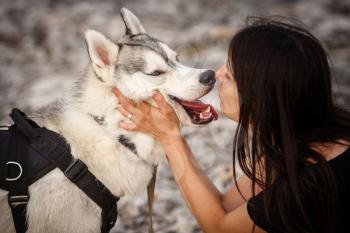 Beautiful girl plays with a dog, grey and white husky, in the mountains at sunset. Indian girl and her wolf