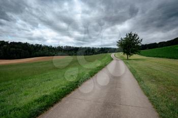 An empty country road through the green fields on a cloudly summer day. Forest in the background. Grey storm clouds. Lonely tree by the road