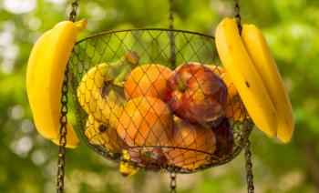 Wire mesh basket of bananas, apples and oranges hanging from street vendor truck on sidewalk showing healthy eating snacks